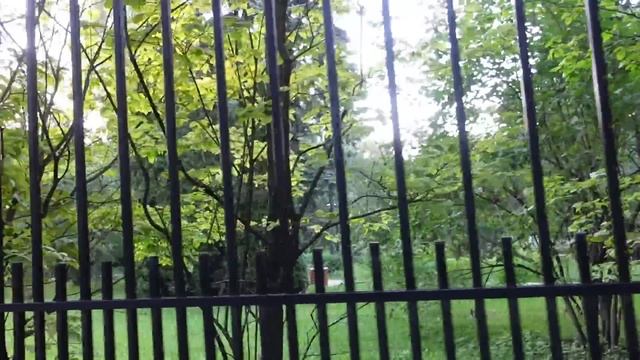 ПЕРВЫЕ ДНИ ПОСЛЕ ЛИПОСАКЦИИ | БУДНИ В МОСКВЕ | БОЛЬШАЯ РАСПАКОВКА ОДЕЖДЫ С WILDBERRIES смотреть онлайн