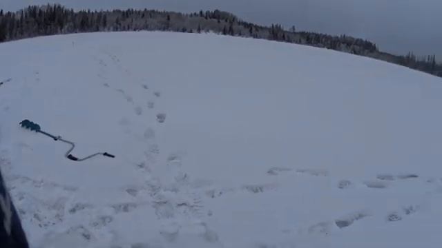 Сегозеро 2018 смотреть онлайн