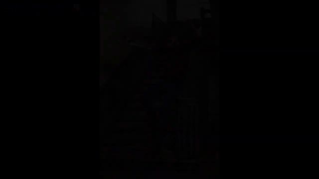 Зейн Малик (Zayn Malik)