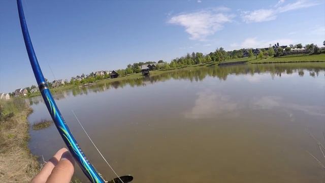 Mepps FTW! Bass fishing the spawn смотреть онлайн