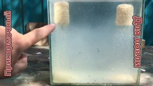 Пыление технопланктона «Северский»