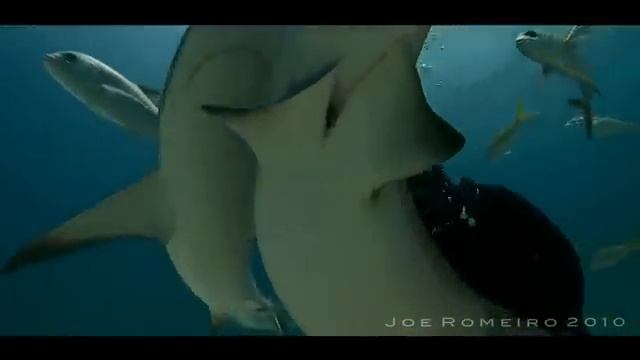 ВЗАИМОПОНИМАНИЕ.flv смотреть онлайн