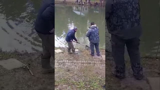 подборка поимок форели смотреть онлайн