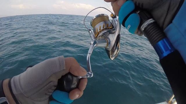 GOPR0148 смотреть онлайн