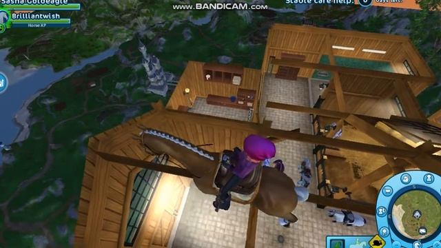 STAR STABLE ONLINE HS GLITCH смотреть онлайн