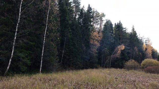 Маслострой осень 2018 смотреть онлайн