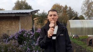 ДАРИТЕ ЖЕНЩИНАМ ЦВЕТЫ