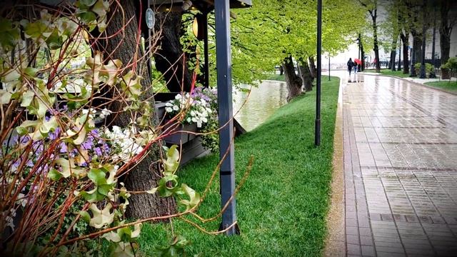 Чистые Пруды смотреть онлайн