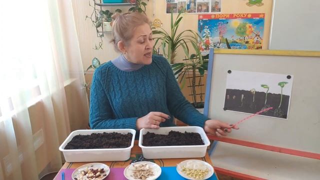 Ознайомлення з природою "Город на підвіконні" Група "Райдуга" смотреть онлайн