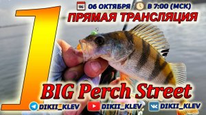 Прямая трансляция первого этапа Турнира 💥 BIG Perch Street 2024 💥