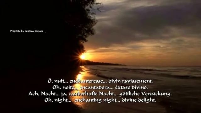 Roberto Alagna- Je crois entendre encore- Français/Português/Deutsch/English lyrics смотреть онлайн