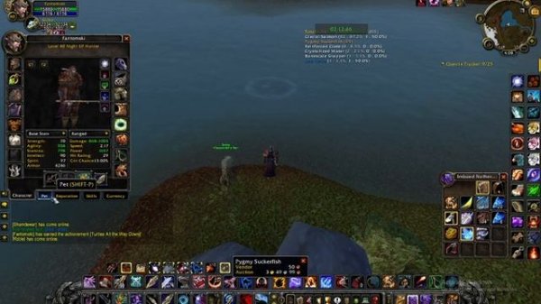Sea Turtle fishing location - World of Warcraft classic WOTLK
