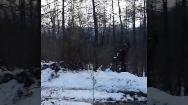 Дикая дивизия 4х4 смотреть онлайн