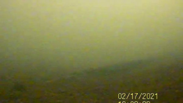 Подводные съёмки налима