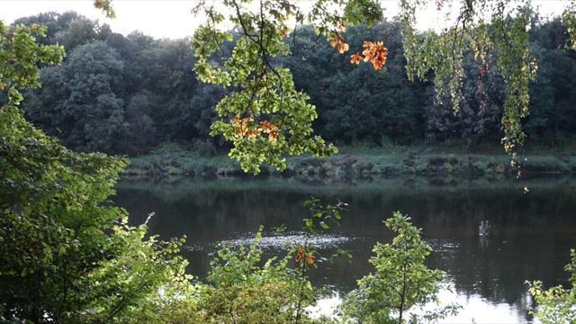 Виктор Дзансолов - РОБКИЙ ВЕЧЕР смотреть онлайн