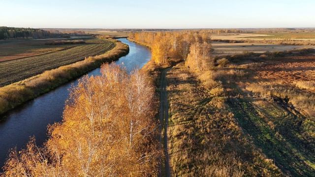 Осеннее утро у водоема.mp4