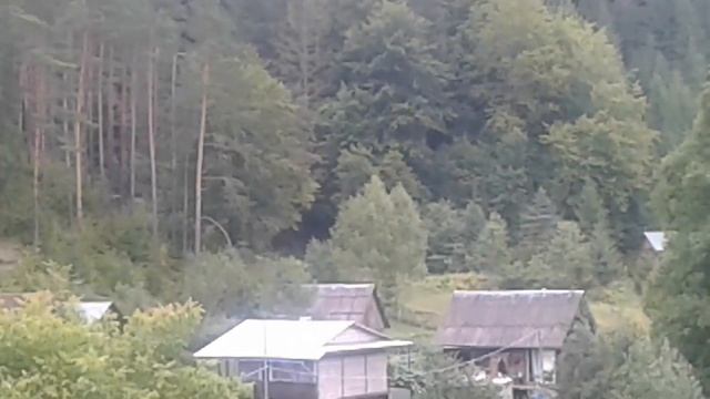 Директор Санаторію Верховина проти дітей-сиріт смотреть онлайн