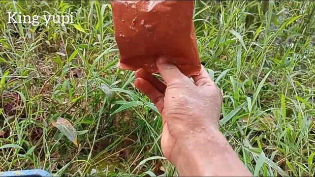 MEMBERSIHKAN PERMEN YUPI PENUH KOTORAN LUMPUR ! Yupi Big Frank, Yupi Neon Stix, Yupi Baby Bears #1