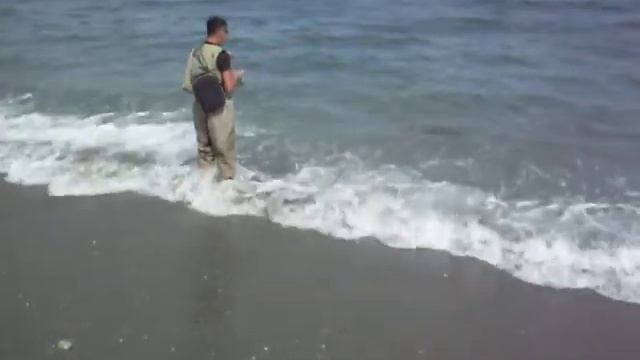 Salmon fishing in Sakhalin Island (04.09.2014) смотреть онлайн