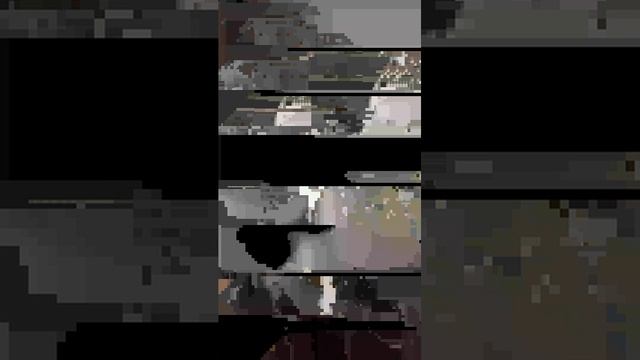 котята смотреть онлайн