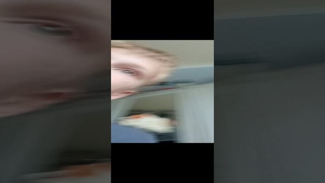 Сделали халобуду смотреть онлайн