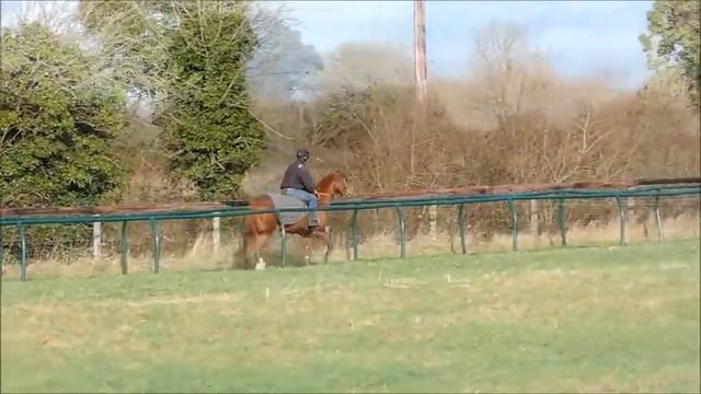 Pink Sands - Sir George Somers 15/01/15 смотреть онлайн