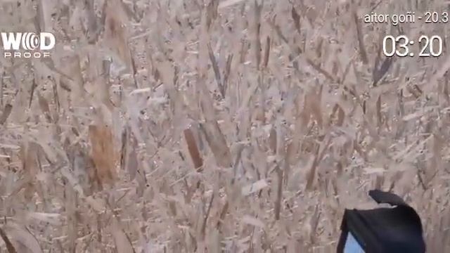 20.3 aitor cierzo смотреть онлайн