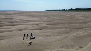 Амазонка стремительно мелеет на глазах. Уровень воды в реке рекордно падает