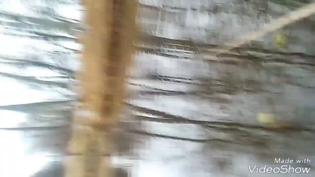 Вятерь на карася смотреть онлайн