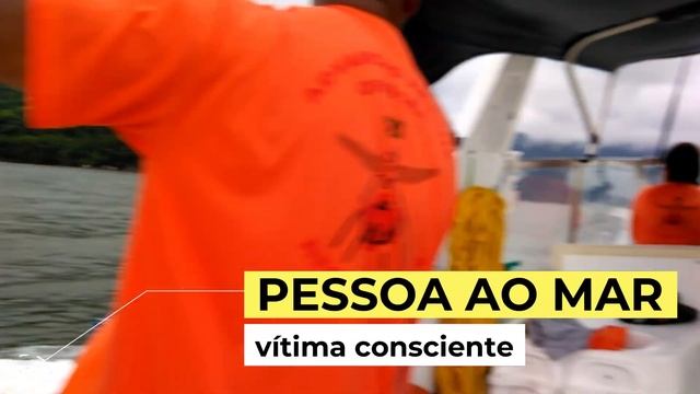 Treinamento em simulação realística - Arrais amador смотреть онлайн