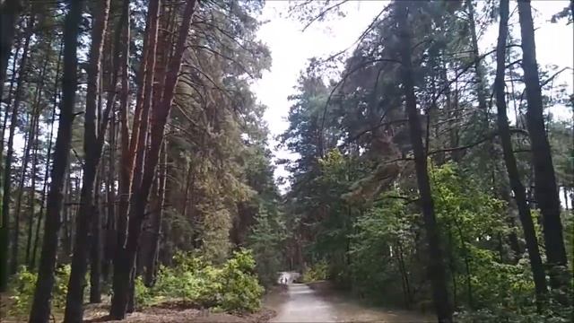 Пикник парк. Белгород. смотреть онлайн