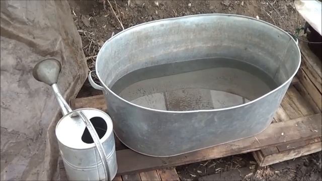 АТ27 Выращивание рассады на биогумусе от ИП Ткаченко Пошаговое видео