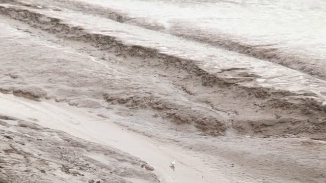 Crossrail Tunnelling: Phyllis completes 6.8 kilometre tunnel drive to Farringdon смотреть онлайн