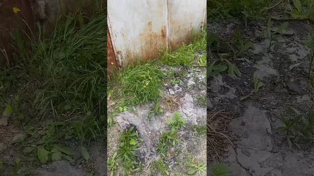 У тебя есть гараж? смотреть онлайн