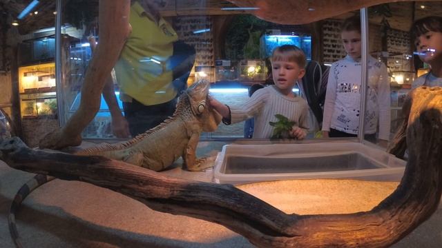 Спасибо дяде Стасу за интересную экскурсию. смотреть онлайн