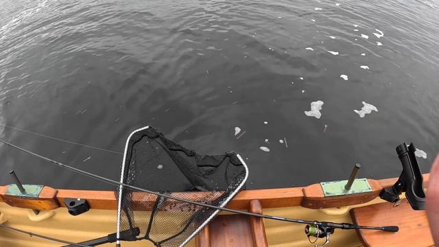 I Lost a HUGE PB Ferox Trout at the Net! Trout Fishing in Ireland смотреть онлайн