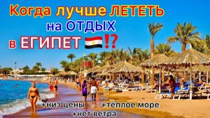 Какой месяц ЛУЧШИЙ для отдыха в Египте. Когда ТОЧНО НЕ СТОИТ ехать! Что выбрать: ЦЕНА или МОРЕ?