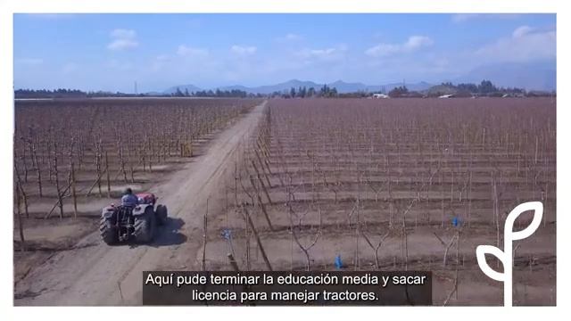 El futuro se cultiva - Emorel Belidor, tractorista смотреть онлайн