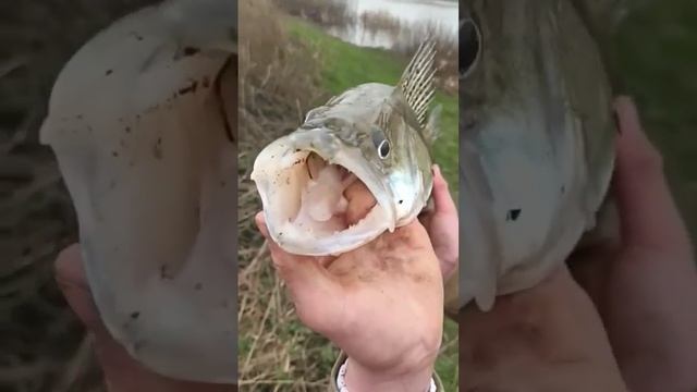 7 March 2022 смотреть онлайн