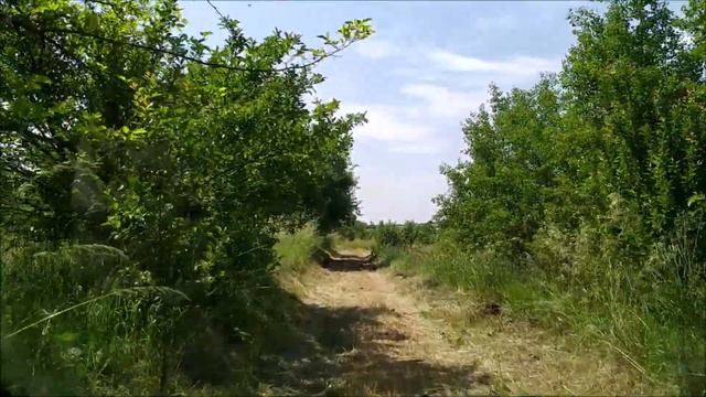 Дорога на дачу. Поход на озеро. смотреть онлайн