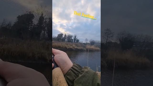 Pike Fishing at Portna Lock River Bann #fishing #pike #northernireland #riverfishing #angling смотреть онлайн