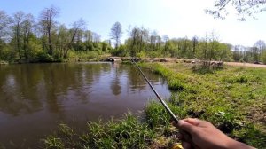 Щука на микро речке #Keitech Mad Wag Mini#Graphiteleader Vigore 742ML