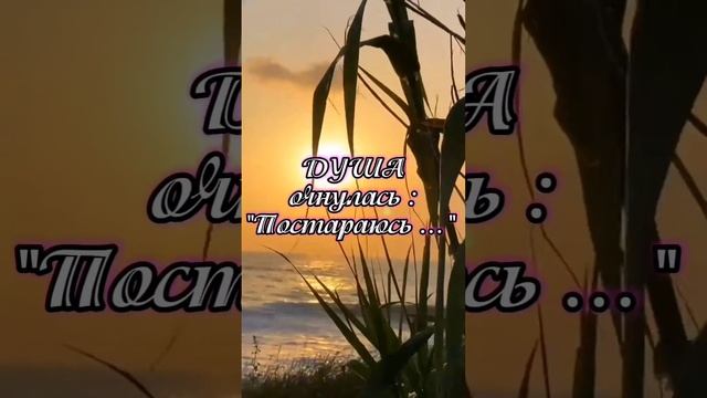 Душа сказала. смотреть онлайн