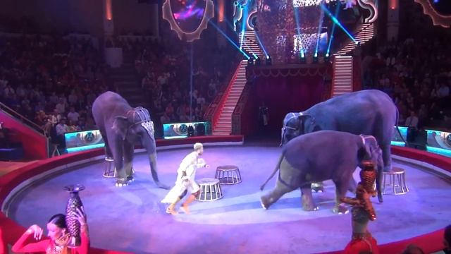 Тайна слонов великанов. Анастасия и Андрей Дементьевы-Корниловы. Россия.