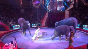 Тайна слонов великанов. Анастасия и Андрей Дементьевы-Корниловы. Россия.