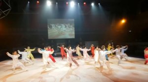 Тайцзицюань на Гимнастраде 2016