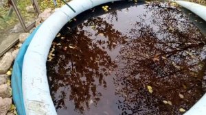 Лайфхак дачникам, 'емкость' для воды