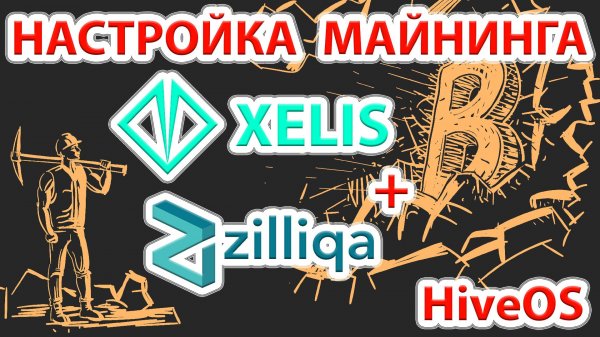 ⚡️ Xelis (XEL) + Zilliqa (ZIL) - лучшая связка на сегодня! Настраиваем майнинг в HiveOS