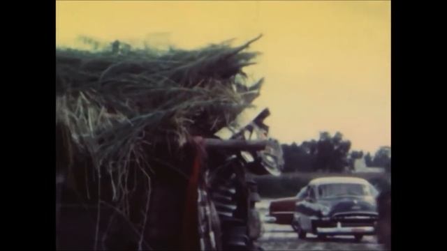 Goats in the Wagon - Nancy Leonard смотреть онлайн