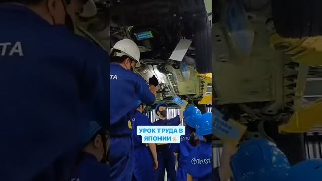 VID-20241005-WA0024.mp4 смотреть онлайн
